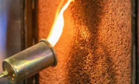 Articles / Environment